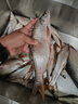 哈拿（TRE-Hana）夜釣燈激光大炮黑坑野釣專用釣魚燈鐳射炮戶外防水藍光燈誘魚燈 H1997Max鐳射炮 1.81米三角支架套餐 曬單實拍圖