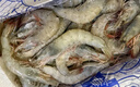 東上御品 國產(chǎn)青島大蝦 特大號白蝦 2030規(guī)格 凈重3斤 盒裝活凍 曬單實拍圖