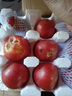 疆域采虹正宗普羅旺斯西紅柿現(xiàn)摘新鮮沙瓤水果生吃西紅柿沙漠特產(chǎn)自然熟 精選一級(jí)4.5斤分享裝 凈重約4斤 曬單實(shí)拍圖