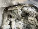 北海灣 厄瓜多爾白蝦 大蝦鮮活速凍鹽凍南美白蝦基圍蝦海蝦對蝦海鮮批發(fā) 【特大蝦 15-18cm】 3斤(凈重) 曬單實拍圖