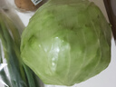 三寶白菜（大娃娃菜）約650g 曬單實(shí)拍圖