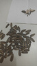 Hape積木玩具 木質(zhì)小顆粒拼搭積木試用裝男孩女孩寶寶積木玩具 20粒積木（品質(zhì)體驗裝）1-3Y 曬單實拍圖