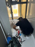 海爾（Haier）國家補貼20%雙膽扁桶電熱水器60升麥浪BK7 富鍶小藍瓶?jì)裟w洗 3D巨能洗 免清洗 3300W速熱一級能效 曬單實(shí)拍圖