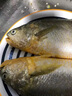 產(chǎn)地直采寧德冰鮮黃花魚(yú)400g-500g/條 曬單實(shí)拍圖