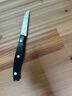 雙立人（ZWILLING）水果刀小刀蔬果刀削皮刀廚房家用刀具Pollux一體鋼鉚釘加固8cm 曬單實(shí)拍圖