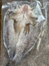 仙泉湖三去白蕉海鱸魚1斤/條凈膛冷凍刺少肉厚珠海特產(chǎn)500g生鮮食材 曬單實(shí)拍圖