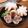 美加佳 三去小章魚凈重1斤（8-13只） 去牙去臟八爪魚 海鮮水產(chǎn) 曬單實拍圖