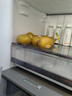 佳沛（zespri）新西蘭  陽光金奇異果25-27粒原箱特大果單果約122-146g  獼猴桃 曬單實(shí)拍圖