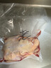林嵐（LINLAN） 5年老鴿子【3只裝 】殺前約1800g 新鮮鴿子肉農(nóng)家鴿子新鮮宰殺 5年老鴿3只單只凈重8到9兩 曬單實拍圖