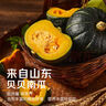 京覓山東貝貝南瓜 凈重4.5斤 單果半斤起 板栗香小南瓜 源頭直發(fā) 曬單實拍圖