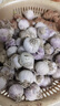 金百粟 云南紫皮獨頭蒜2025全干蒜大蒜紅皮干獨蒜當(dāng)季蔬菜辛辣味濃 紫皮干獨蒜1斤 中果2.6-3.0cm 曬單實拍圖