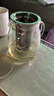金灶（KAMJOVE）泡茶壺飄逸杯 耐熱玻璃茶具功夫辦公室花茶壺 茶水分離杯茶壺家用 A-19加長濾籃 750ml 曬單實拍圖