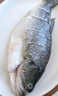 太湖?！緹o(wú)抗或有機認證 淡水鱸魚(yú)】孕婦嬰兒童食輔 鮮活三去魚(yú)類(lèi)水產(chǎn) 【無(wú)抗鱸魚(yú)】320g/條*3條 曬單實(shí)拍圖