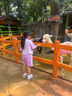 G.DUCKKIDS女童夏季套裝短袖POLO衫韓版中大童學院風女孩運動短褲兒童兩件套 紫色 polo衫套裝 160 曬單實拍圖