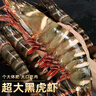 北海灣 高品質(zhì)活凍黑虎蝦 超大蝦類(lèi)大蝦生鮮老虎蝦冰鮮印度海蝦盒裝送禮 19-21cm【高品質(zhì)】 1000g(凈重) 曬單實(shí)拍圖