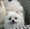 AOEO臻顏舒護(hù)修護(hù)精華面膜補(bǔ)水保濕舒緩?fù)磕婺?0g*2 曬單實(shí)拍圖