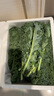 羽衣甘藍新鮮生鮮蔬菜嫩葉甘蘭芥藍西餐沙拉榨汁減肥減脂 羽衣甘藍輕食3斤裝 曬單實(shí)拍圖