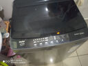 海爾（Haier）波輪洗衣機全自動10KG大容量一級能效超凈洗【XQB100-Z719】家電國家補貼20%小型租房以舊換新家用 曬單實拍圖