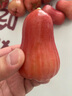 京鮮生 紅寶石蓮霧 凈重2斤裝9-12個 單果75g+生鮮水果源頭直發(fā)包郵 曬單實拍圖