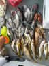伊酷達（ECOODA）馭海水滴輪 近海船釣輪 拉流底釣八帶黑黃鱸魚(yú)海釣輪 帶卸力報警 ESW 280（速比6.6:1/釣力10kg） 左手型 曬單實(shí)拍圖