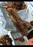 西鮮匯甘肅灘羊 原切羊排凈重5斤 羊肉生鮮羊肋排燒烤火鍋食材 源頭直發(fā) 曬單實拍圖