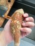 瑰季板栗蜜薯10斤紅薯西瓜紅沙地蜜薯小香薯新鮮山東地瓜山芋現(xiàn)挖 紅薯  帶箱5斤裝小果 曬單實(shí)拍圖
