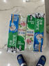 好來(原黑人)茶倍健初萃茶百香果味8支牙膏套裝共480g 限量送家政 曬單實拍圖