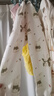 童泰（TONGTAI）嬰兒套裝秋冬寶寶衣服兒童上衣家居內衣TS43J199-DS綠色100cm 曬單實(shí)拍圖