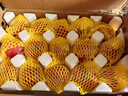 京鮮生 山東普羅旺斯西紅柿 凈重4.5斤 單果115g+ 沙瓤番茄 源頭直發(fā) 曬單實拍圖