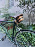 ESLNF自行車(chē)車(chē)包騎行包山地公路車(chē)鞍座包杜邦紙防水尾包騎行裝備 防水小方包（杜邦紙色 13.5*6.5*8.5cm 曬單實(shí)拍圖