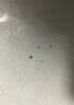 康佳超聲波潔牙器洗牙器結(jié)石去清除潔洗牙齒沖洗器去黃牙結(jié)石神清潔器煙漬茶漬工具醫(yī)用母親節(jié)禮物 星空藍(lán)95%選擇【真超聲波醫(yī)療器械認(rèn)證】 4支噴頭 曬單實(shí)拍圖
