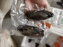 頤口福大連鮮食海參野生底播9A國(guó)產(chǎn)海參禮盒順豐包郵海鮮水產(chǎn)禮盒禮品 1000g即食海參 (20-30只/斤） 曬單實(shí)拍圖