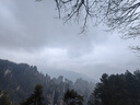 正宗黑籽麒麟西瓜應(yīng)季新鮮水果新鮮現(xiàn)摘沙瓤薄皮麒麟瓜 麒麟西瓜 6-7斤 1枚裝 曬單實(shí)拍圖