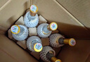 汾酒 黃蓋玻汾 清香型白酒 53度 475mL*6瓶 整箱裝非原箱 曬單實拍圖
