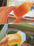 好利來(lái)半熟芝士蛋糕枚*2盒組甜品糕點(diǎn)短保點(diǎn)心零食下午茶 原味5枚/盒+抹茶味5枚/盒 曬單實(shí)拍圖