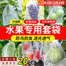 iosn水果套袋專用防鳥罩防蟲套袋網(wǎng)罩黃桃套袋網(wǎng)兜梨子桃子蘋果專用 30x20cm（可火龍果葡萄芒果等） 【20個裝/防蟲防鳥透光透氣】 曬單實拍圖