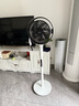 東芝（TOSHIBA）【花信風(fēng)】電風(fēng)扇空氣循環(huán)扇家用落地扇直流變頻電風(fēng)扇靜音臥室超靜音一級(jí)能效風(fēng)扇F-DSC800XCN(W) 曬單實(shí)拍圖