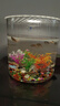 橙央創(chuàng  )意加厚直筒玻璃魚(yú)缸圓柱形大號客廳辦公室金魚(yú)缸透明烏龜缸水培 口徑30CM高度30CM（二代升級） 贈品6件19 曬單實(shí)拍圖