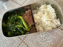 九陽（Joyoung）電熱飯盒加熱飯盒神器上班族辦公室插電飯盒316L母嬰級材質(zhì)便當(dāng)盒F09H-FH100 曬單實拍圖