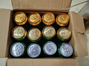 青島啤酒（TsingTao）組合12聽(tīng) 經(jīng)典500ml*4+奧古特500ml*4+(1903)500ml*4 中秋節送禮 曬單實(shí)拍圖