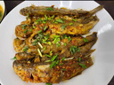 賣(mài)魚(yú)七郎 冷凍海捕小黃魚(yú)3斤黃花魚(yú)深海魚(yú)生鮮魚(yú)類(lèi)燒烤食材 曬單實(shí)拍圖
