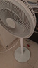 艾美特（AIRMATE）【智能遙控】七葉家用大風(fēng)量落地扇電風(fēng)扇臺(tái)式空氣循環(huán)小風(fēng)扇6檔暴風(fēng)定時(shí)電扇高清屏顯 FS30-R99 曬單實(shí)拍圖