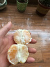粵迎云南蜜桔酸甜口感特早熟桔子青皮蜜橘新鮮水果當季整箱青皮柑子 5斤精選果【酸甜多汁果】?jì)?.5斤 曬單實(shí)拍圖