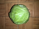 圓白菜約1kg 曬單實(shí)拍圖