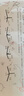 和大人一起讀（升級版） 人教版快樂(lè )讀書(shū)吧 一年級上冊套裝（共4冊）與2024秋新版教材配套使用（含音頻資源）一年級課外閱讀必讀 曬單實(shí)拍圖