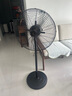 鉆石牌工業(yè)風扇大風力電風扇牛角扇大功率工業(yè)大風扇工廠車間商用立式落地扇吹除甲醛FS-50 曬單實拍圖