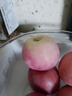 正宗煙臺蘋果棲霞紅富士脆甜新鮮水果整箱生鮮蘋果水果 凈重4.5斤80mm 曬單實(shí)拍圖