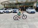鳳凰山地車自行車成年人男士女士學生變速碟剎減震全軸承山地自行車 月光銀/碳鋼架/鋁合金雙層輻條輪 24英寸（身高145-170左右） 24速-標準變速 曬單實拍圖