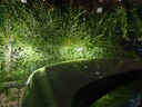 雪萊特led汽車(chē)大燈遠(yuǎn)光燈升級(jí)專(zhuān)用改裝超亮近光燈燈泡高功率9005led大燈 曬單實(shí)拍圖