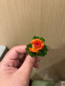 MiniPeace太平鳥(niǎo)童裝女童風(fēng)衣FBBEF1403 蘭花紫 150cm 曬單實(shí)拍圖